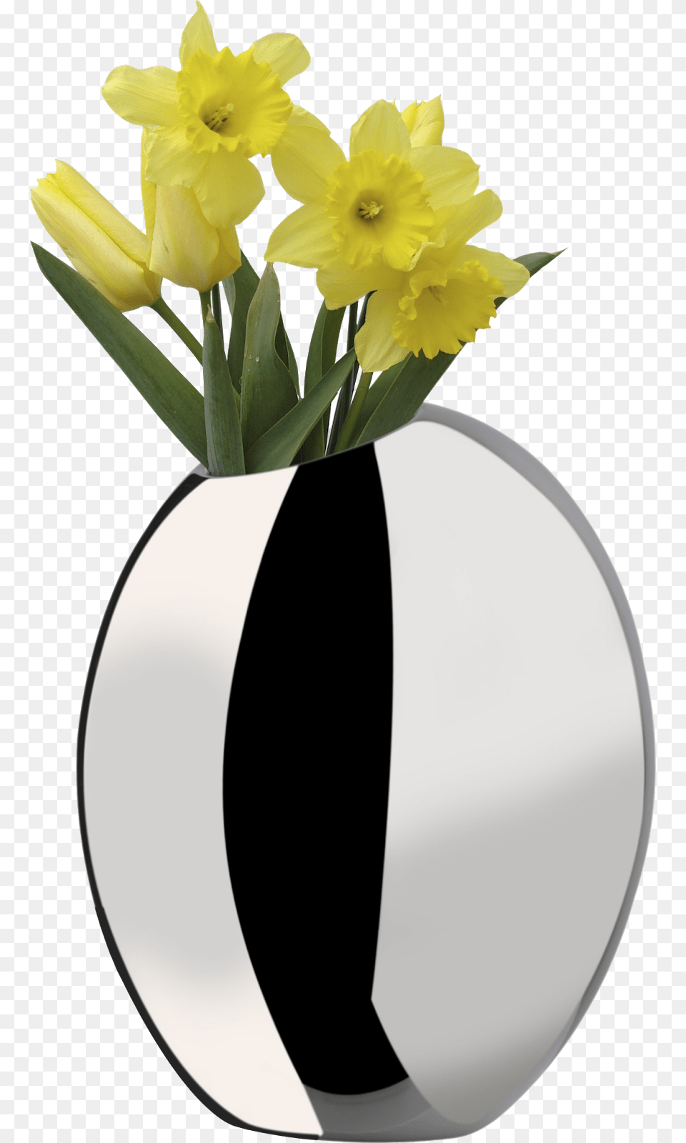 Daffodils In Vase, Daffodil, Flower, Jar, Plant Free Transparent Png