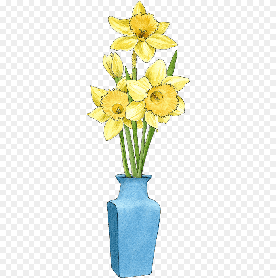 Daffs In Blue Vase Narcissus, Daffodil, Flower, Plant, Jar Free Transparent Png