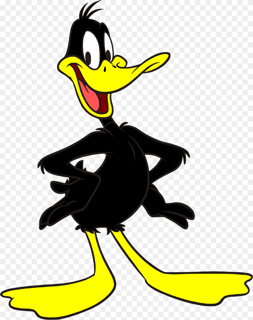Daffy Duck Daffy Duck, Cartoon, Animal, Bird, Cormorant Free Png Download