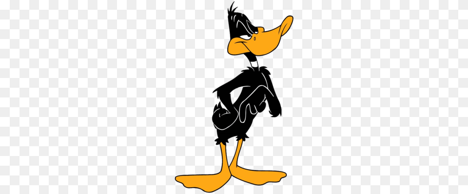 Daffy Duck Disney Looney Tunes And, Animal, Beak, Bird, Cormorant Png Image