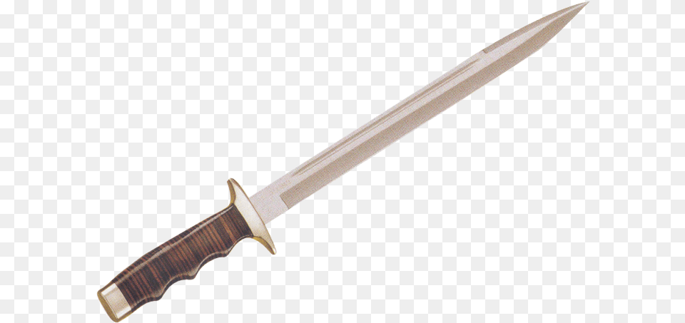 Dagger Combat Knife, Blade, Weapon, Sword Free Png