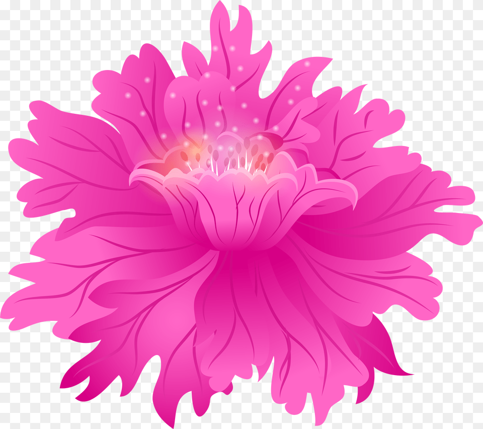 Dahlia, Flower, Plant, Daisy, Petal Free Png Download