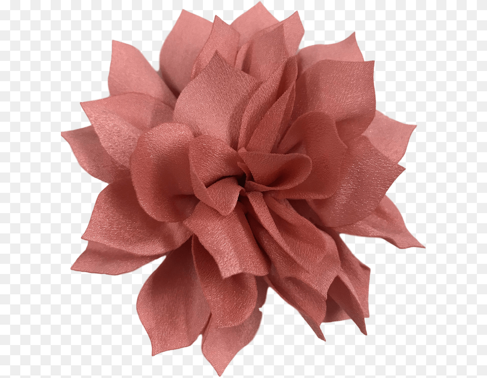Dahlia, Flower, Paper, Plant, Rose Png