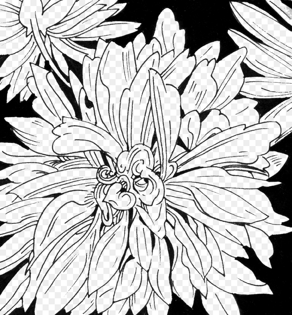 Dahlia Chrysanths, Art, Plant, Drawing, Floral Design Png Image