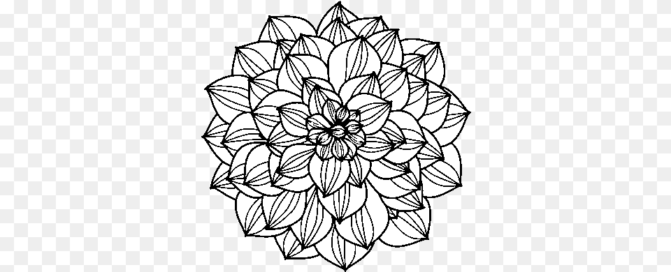 Dahlia Coloring, Flower, Plant Free Transparent Png