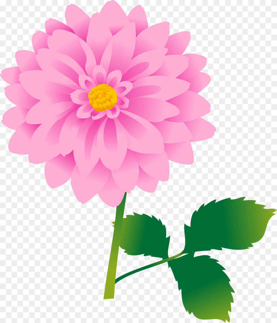 Dahlia Flower Clipart, Plant, Daisy Free Png