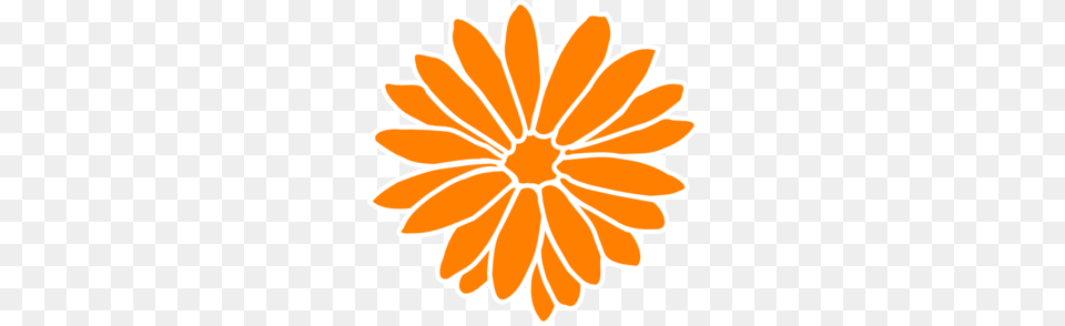 Dahlia Orange Clip Art, Daisy, Flower, Plant, Petal Free Png