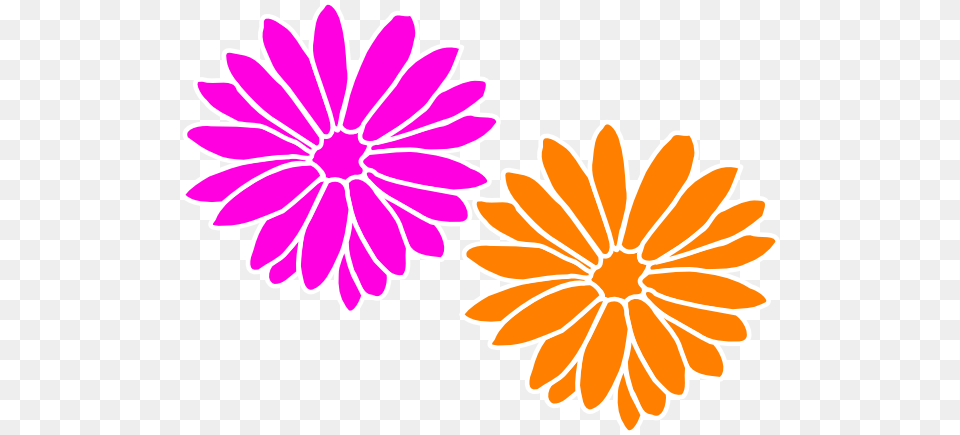 Dahlia Pink Clip Art, Daisy, Floral Design, Flower, Graphics Png Image