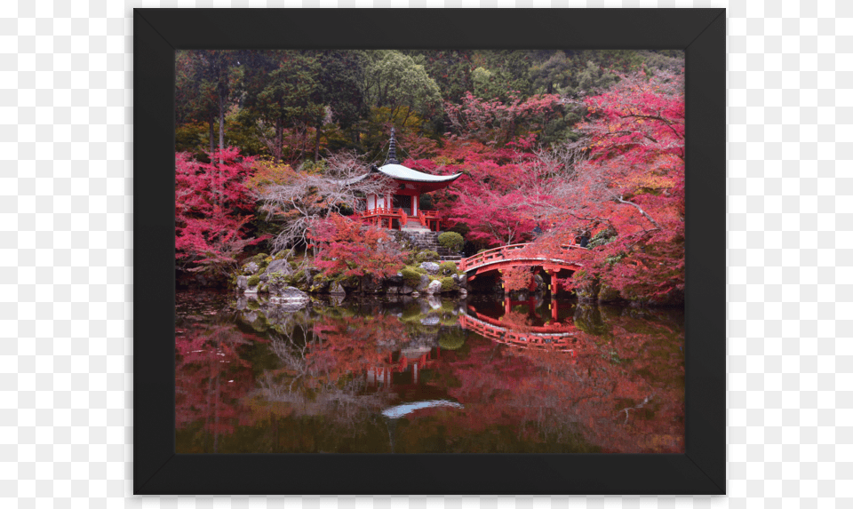 Daigoji Pond In Autumn Picture Frame, Nature, Outdoors, Water, Plant Free Png