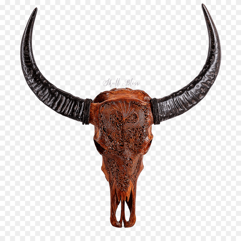 Daily, Animal, Mammal, Bull, Cattle Png