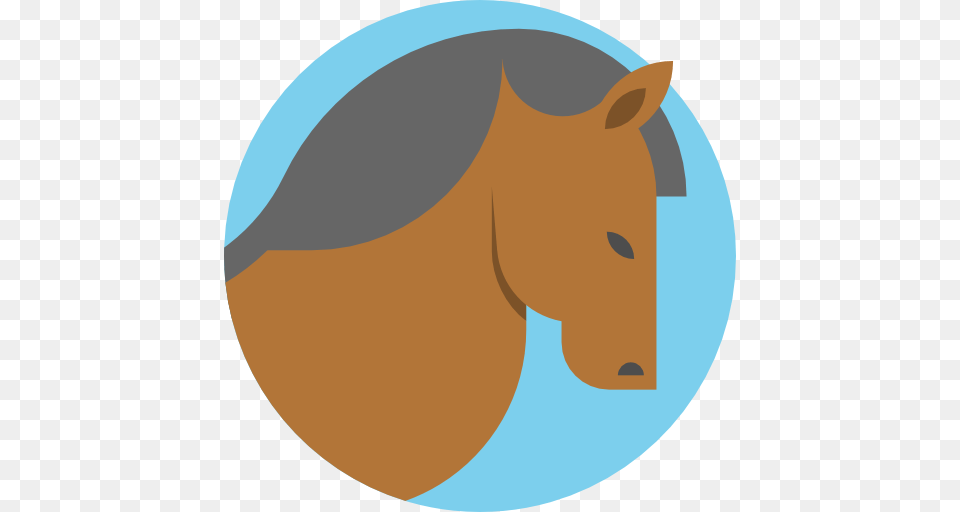Daily Blog, Animal, Mammal, Colt Horse, Horse Free Png