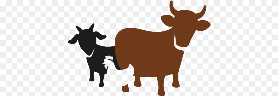 Daily Celestial Challenge Animal Husban Animal Husbandry Icon, Livestock, Mammal, Cattle, Bull Free Transparent Png