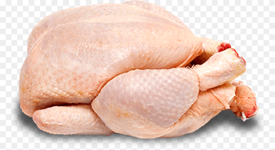 Daily Fresh Suguna Chicken, Food, Roast, Meal, Animal Free Png Download