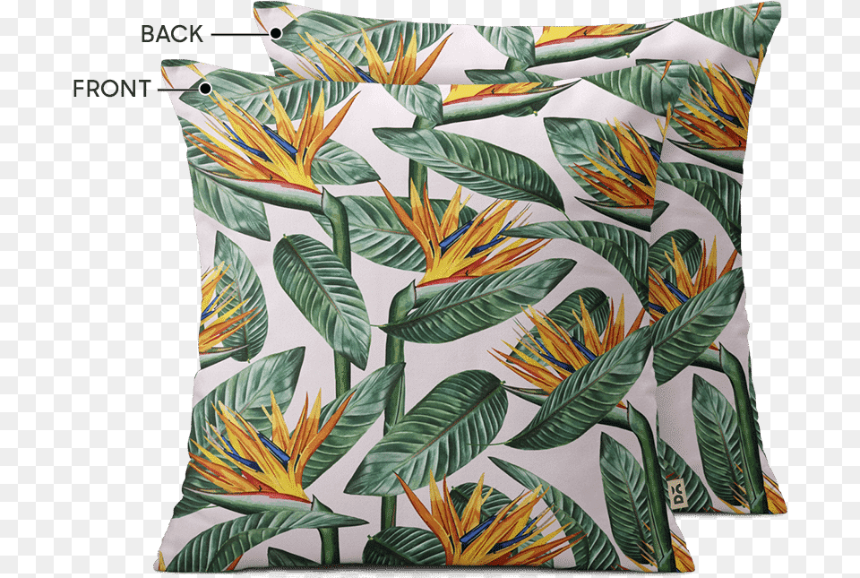 Dailyobjects Bird Of Paradise Leaves Cushion, Home Decor, Pillow, Plant Free Png