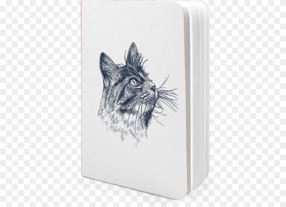 Dailyobjects Cat Eye A6 Notebook Plain Buy Online In Sketch, Art, Drawing, Animal, Mammal Png Image