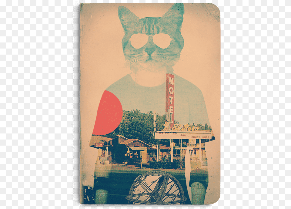 Dailyobjects Cool Cat A5 Notebook Plain Buy Online Poster, Advertisement, Restaurant, Indoors, Animal Free Transparent Png