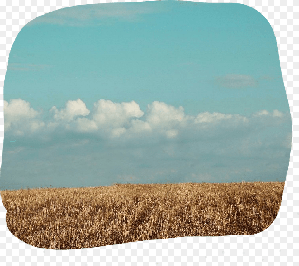 Dailyremix Field Blue Sky Day Drygrass Land Field, Cloud, Scenery, Outdoors, Nature Free Png