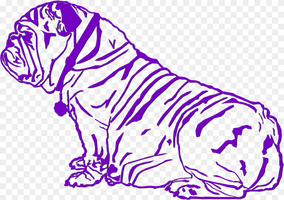 Daiquiri Sold Bengal Tiger, Adult, Person, Man, Mammal Free Transparent Png