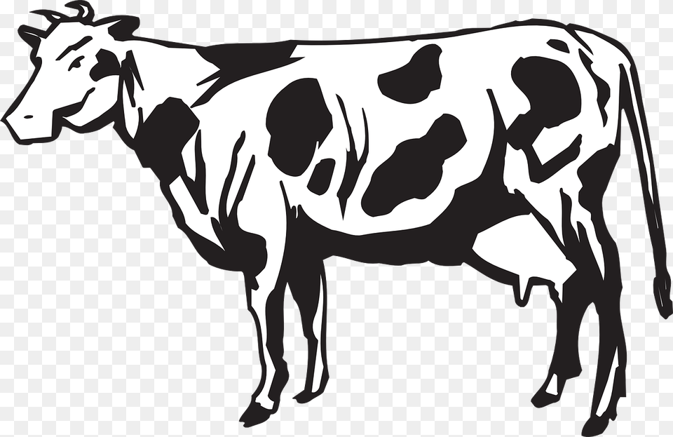Dairy Cattle Calf Herd Clip Art, Animal, Cow, Dairy Cow, Livestock Free Transparent Png