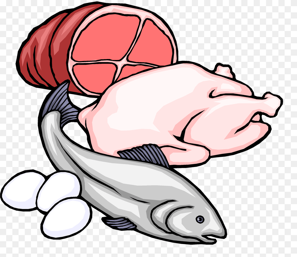 Dairy Clipart Carbohydrate Food, Animal, Fish, Sea Life, Shark Png