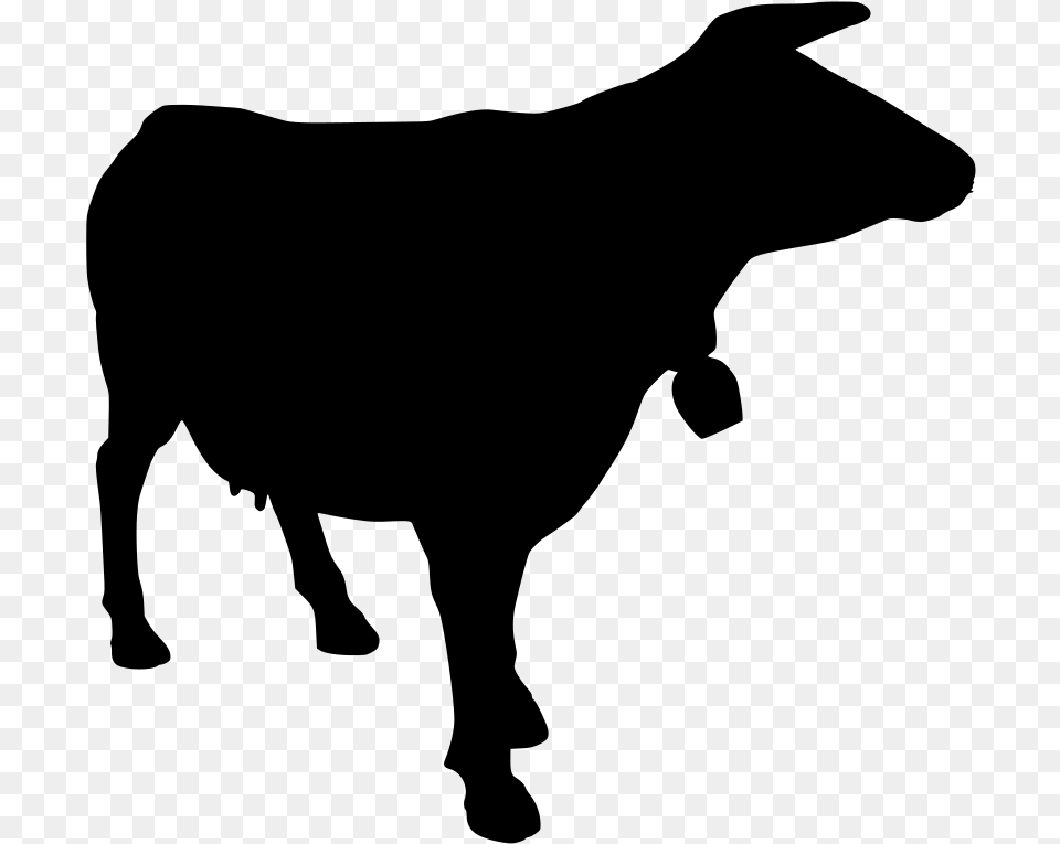 Dairy Cow, Gray Png