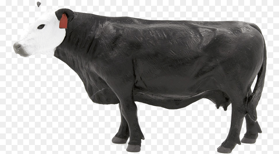 Dairy Cow 2011, Animal, Bull, Mammal, Cattle Free Transparent Png