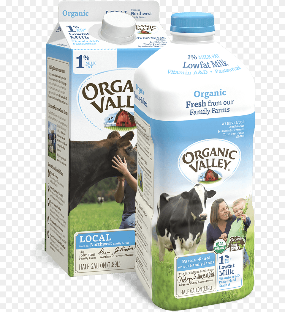 Dairy Cow, Beverage, Milk, Adult, Person Png