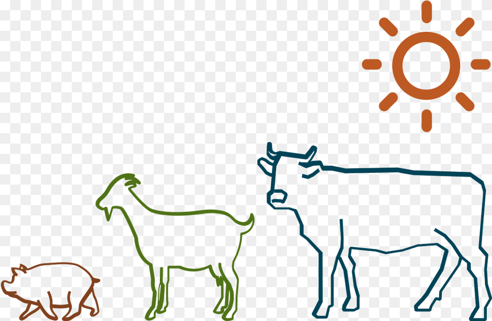 Dairy Cow, Livestock, Animal, Cattle, Mammal Png Image