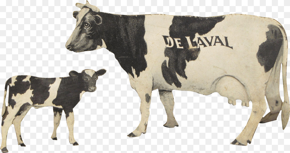 Dairy Cow, Animal, Cattle, Livestock, Mammal Png