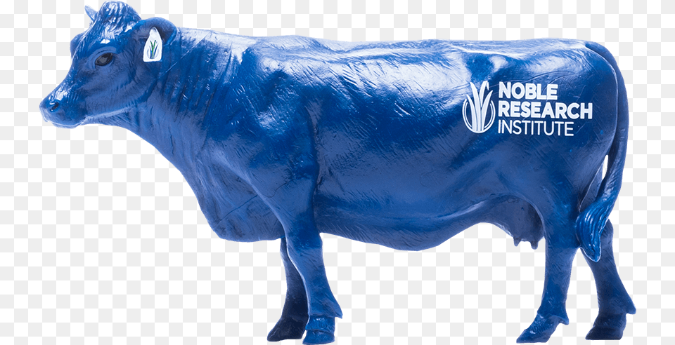 Dairy Cow, Animal, Bull, Mammal, Cattle Free Transparent Png