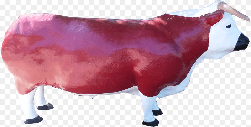 Dairy Cow, Animal, Bull, Mammal, Cattle Png