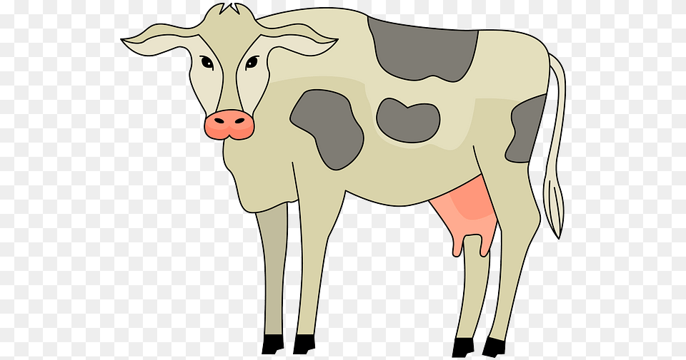 Dairy Cow, Animal, Cattle, Mammal, Livestock Free Png Download