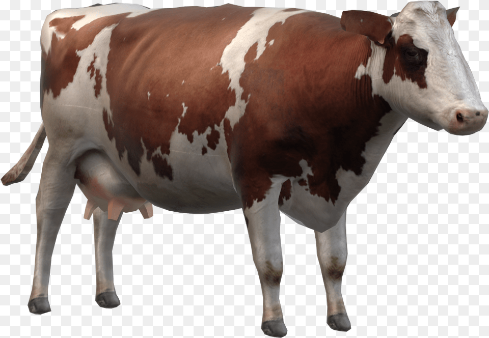 Dairy Cow, Animal, Cattle, Livestock, Mammal Png Image