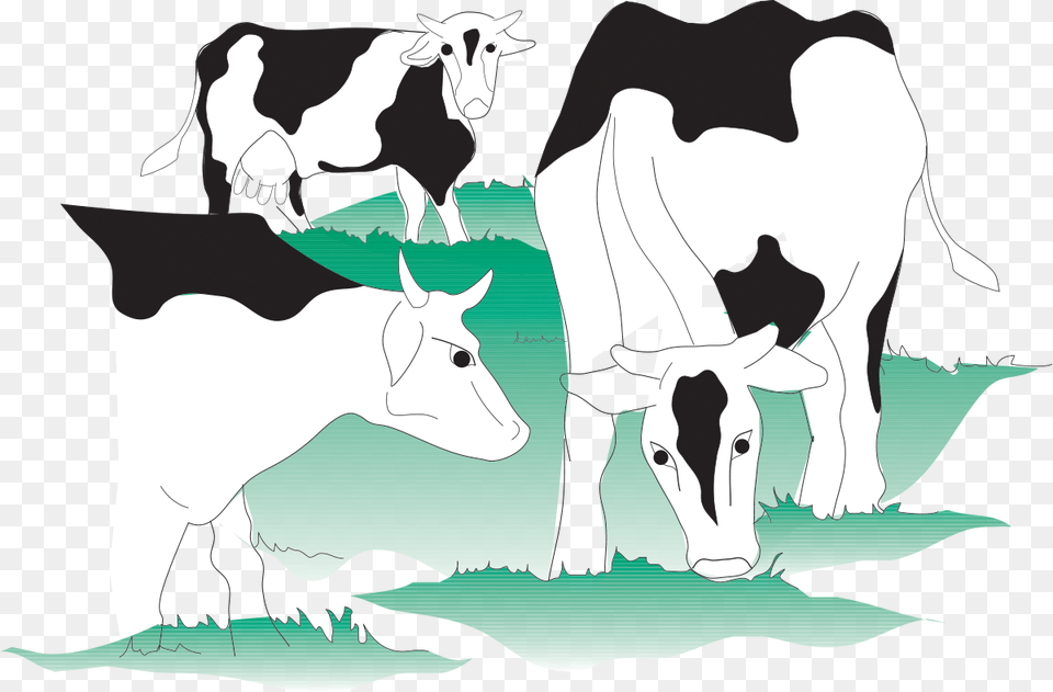 Dairy Cow, Animal, Cattle, Dairy Cow, Livestock Free Png Download