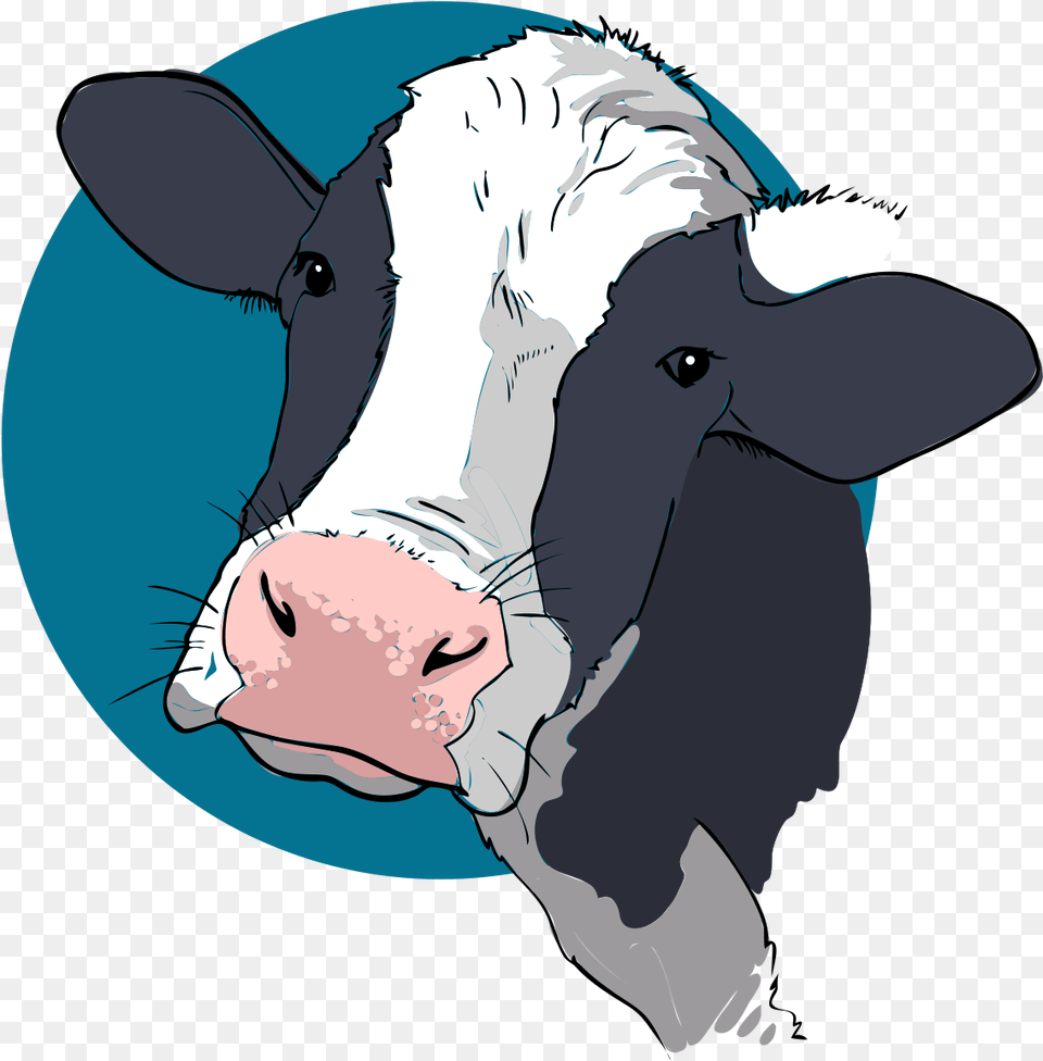 Dairy Cow Face Clip Art, Animal, Cattle, Mammal, Livestock Free Transparent Png