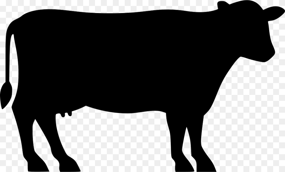 Dairy Cow Icon Free Download, Animal, Cattle, Livestock, Mammal Png Image