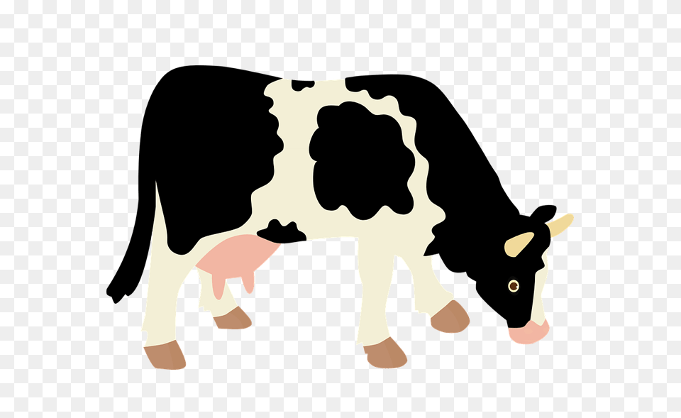 Dairy Cow Transparent Background Farm, Animal, Cattle, Dairy Cow, Livestock Png