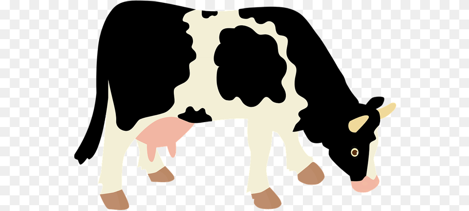 Dairy Cow Transparent Background Farm Image Images Clipart Cow Transparent Background, Animal, Cattle, Dairy Cow, Livestock Free Png