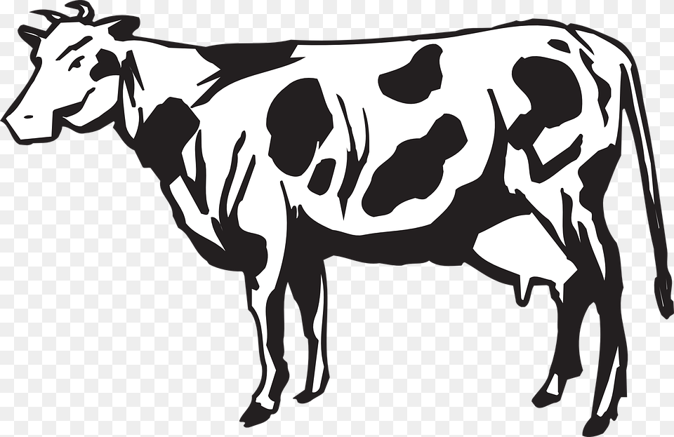 Dairy Cows Vector Graphics Clip Art Cows Herd, Animal, Cattle, Cow, Dairy Cow Png