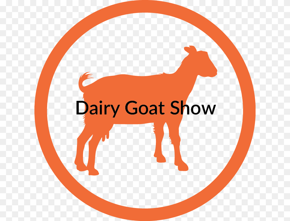 Dairygoat Illustration, Livestock, Animal, Goat, Mammal Png Image