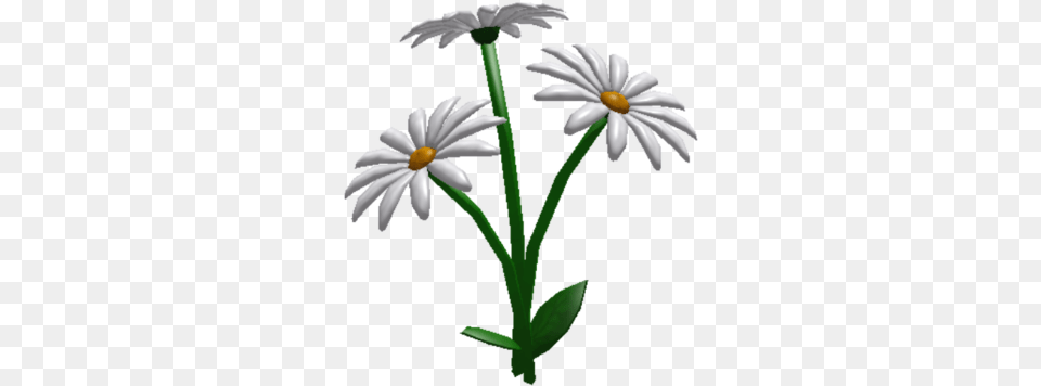 Daisies Bloxburg Flowers, Daisy, Flower, Plant, Petal Free Png Download