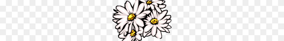 Daisies Clip Art Cartoon Daisy Clipart Clip Art For Students, Flower, Plant, Graphics, Floral Design Free Png