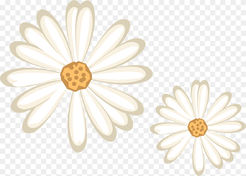 Daisies Clipart, Daisy, Flower, Plant, Chandelier Png Image
