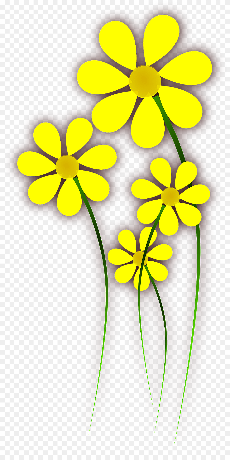 Daisies Clipart, Plant, Petal, Flower, Daisy Png Image