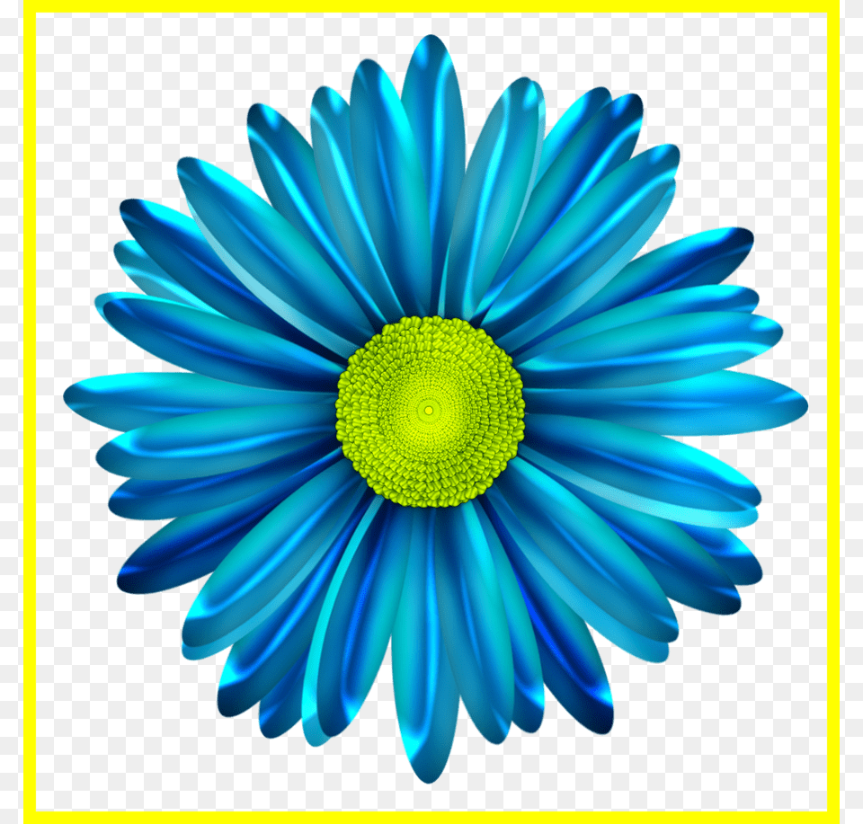 Daisies Clipart Gerber Daisy Blue Daisy Flower, Plant, Petal, Anemone Free Transparent Png
