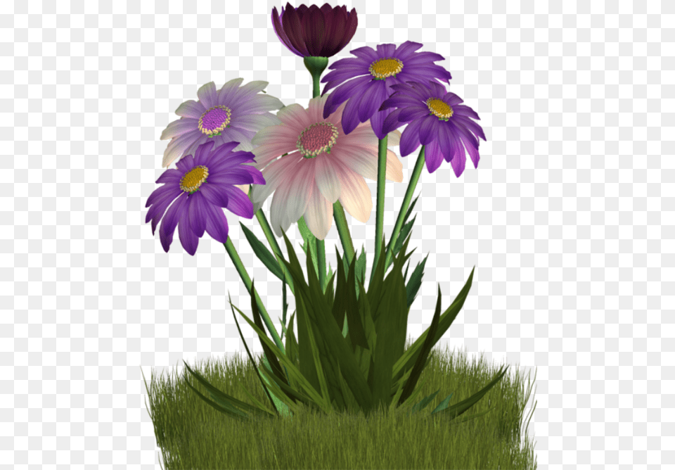 Daisies Clipart Spring Season Flower, Daisy, Plant, Purple, Flower Arrangement Free Png Download