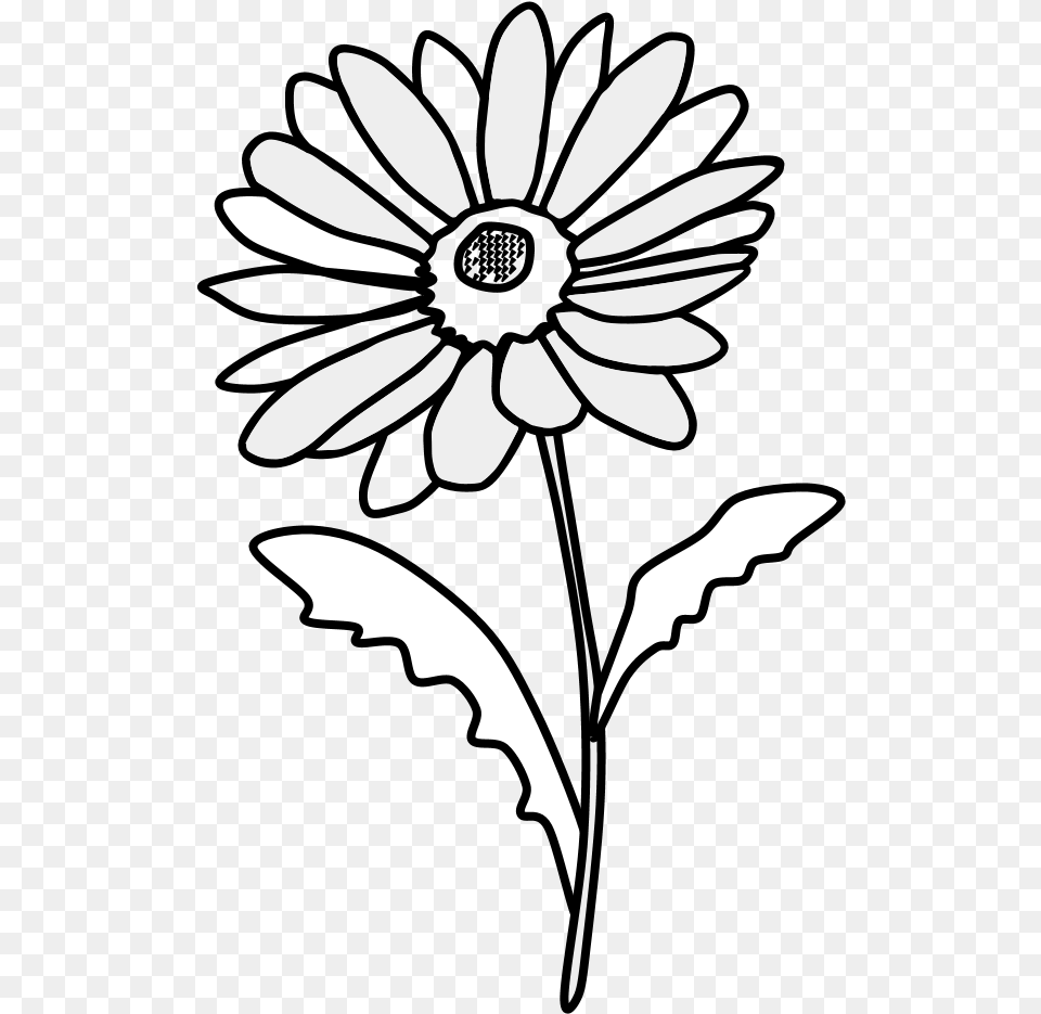Daisies Daisy Clipart Black And White, Flower, Plant, Stencil, Animal Png