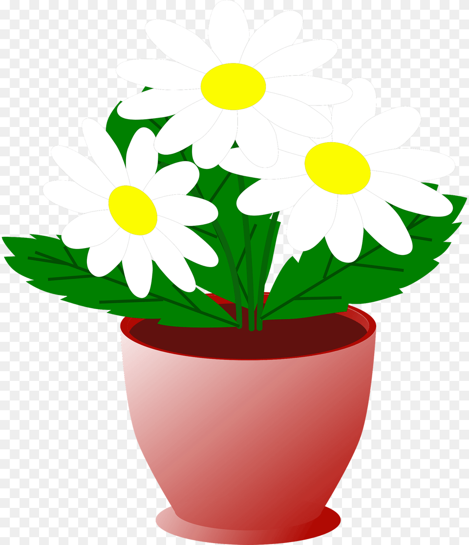 Daisies In A Pot Clipart, Daisy, Flower, Plant, Potted Plant Free Png