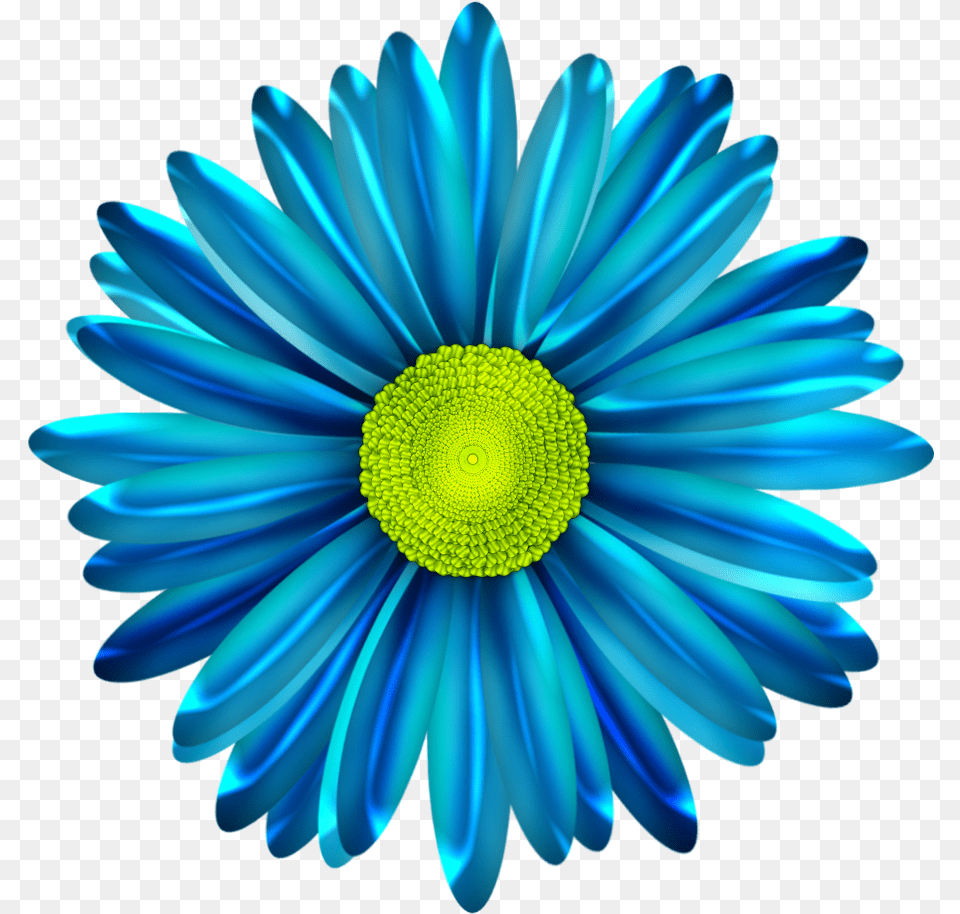 Daisies In Art Blue Daisy Flower, Plant, Anemone Free Transparent Png