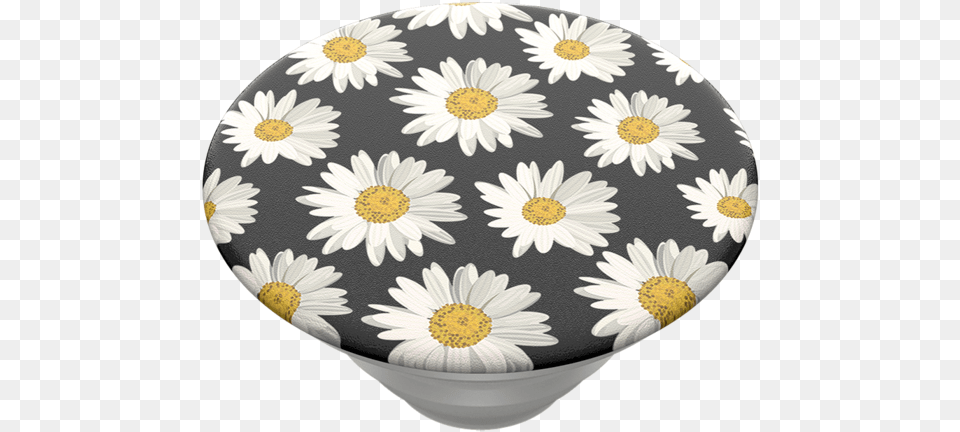 Daisies Popsocket Australia, Daisy, Flower, Plant, Pottery Free Png Download